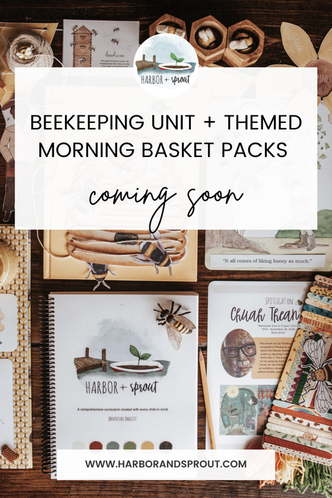 Introducing our Brand New Line of Themed Morning Baskets