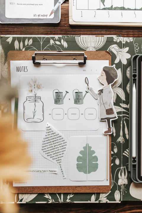 Botany Patchwork Study
