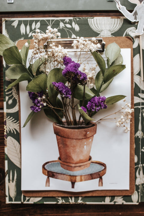 Botany Patchwork Study