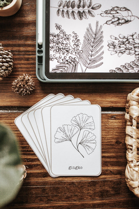 Leaf Identification Cards