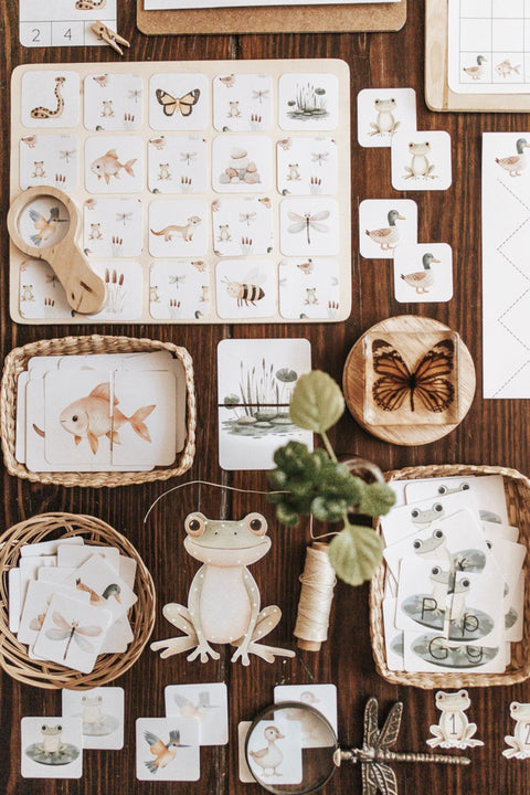 Freshwater Ecology Morning Basket