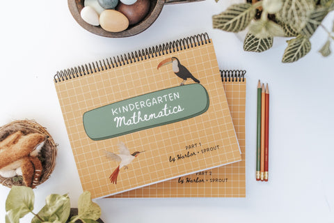 kindergarten math curriculum