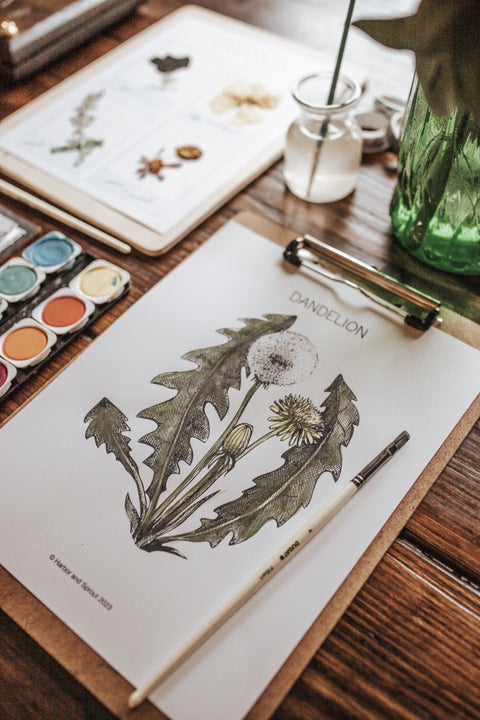 Plant Press Journal & Herbarium