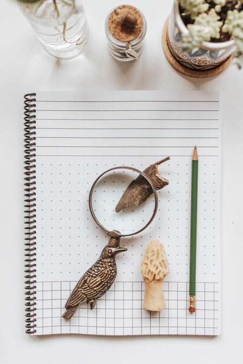 PRINT Secondary Companion Notebook