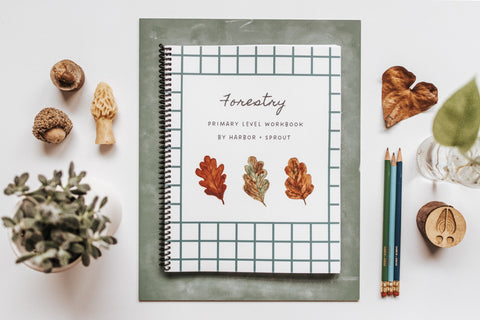 FREE SAMPLE: Primary Level Workbooks