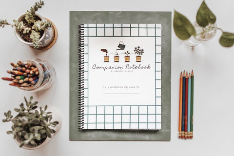 Digital Notebooks and Journals