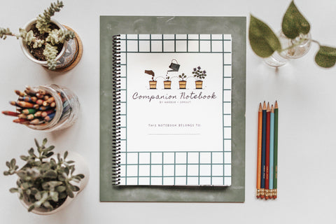 PRINT Primary Companion Notebook