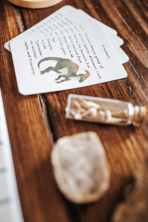 DIGITAL Paleontology Primary Level Unit Study