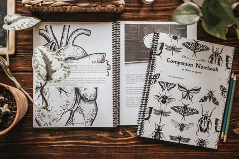PRINT Secondary Companion Notebook