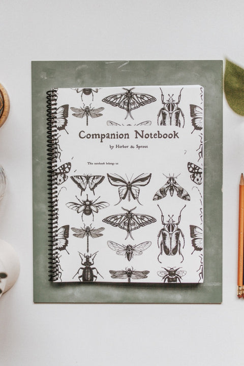 PRINT Secondary Companion Notebook