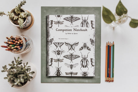 PRINT Secondary Companion Notebook