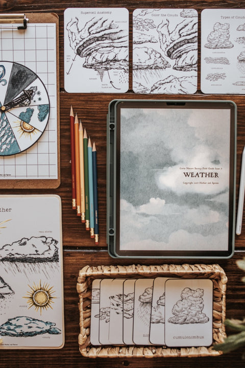 Weather Activity Pack