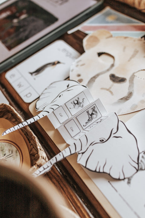 Zoology Nature Study