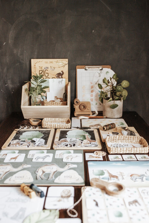 Zoology Morning Basket