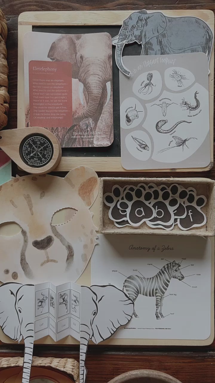 Zoology Elementary Unit Study Harbor and Sprout