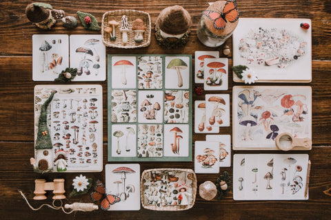 Vintage Fungi Illustrations and Matching Game