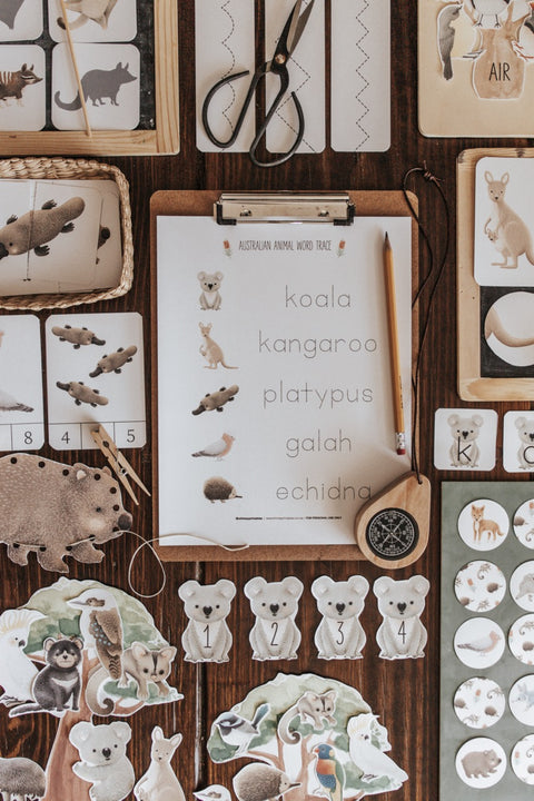 Australian Animals and Flora Morning Basket