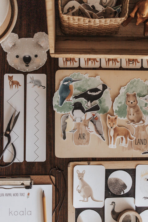 Australian Animals and Flora Morning Basket