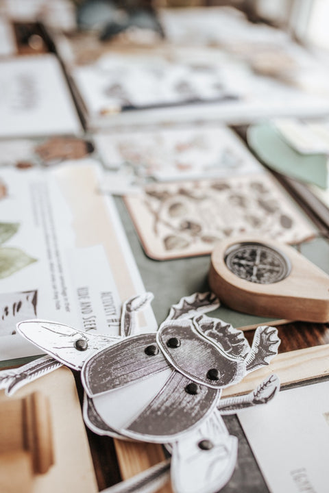 Entomology Patchwork Study