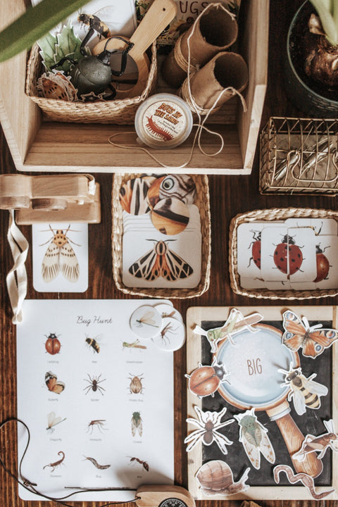 Entomology Morning Basket