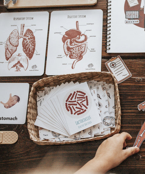 Human Body Nature Study