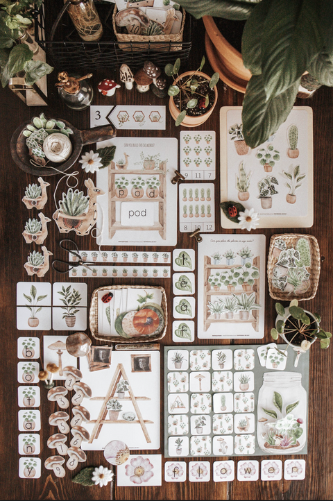 Botany Morning Basket