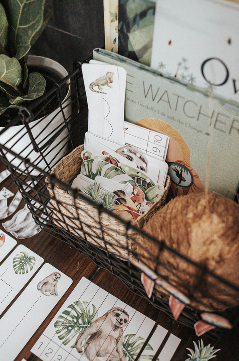 Tropical Ecology Morning Basket