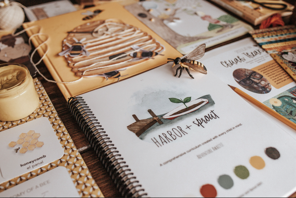 12 Credits Upfront Harbor and Sprout