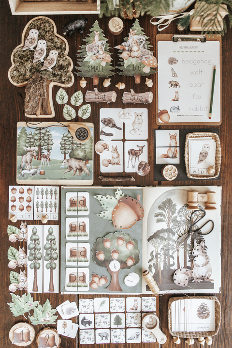 Forestry Morning Basket