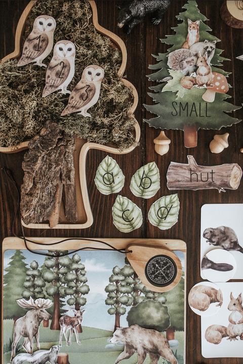 Forestry Morning Basket