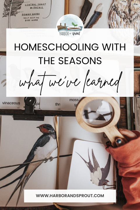 Schooling with the Seasons