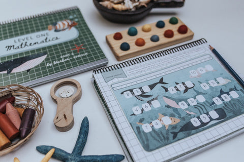 Core Curriculum Bundles