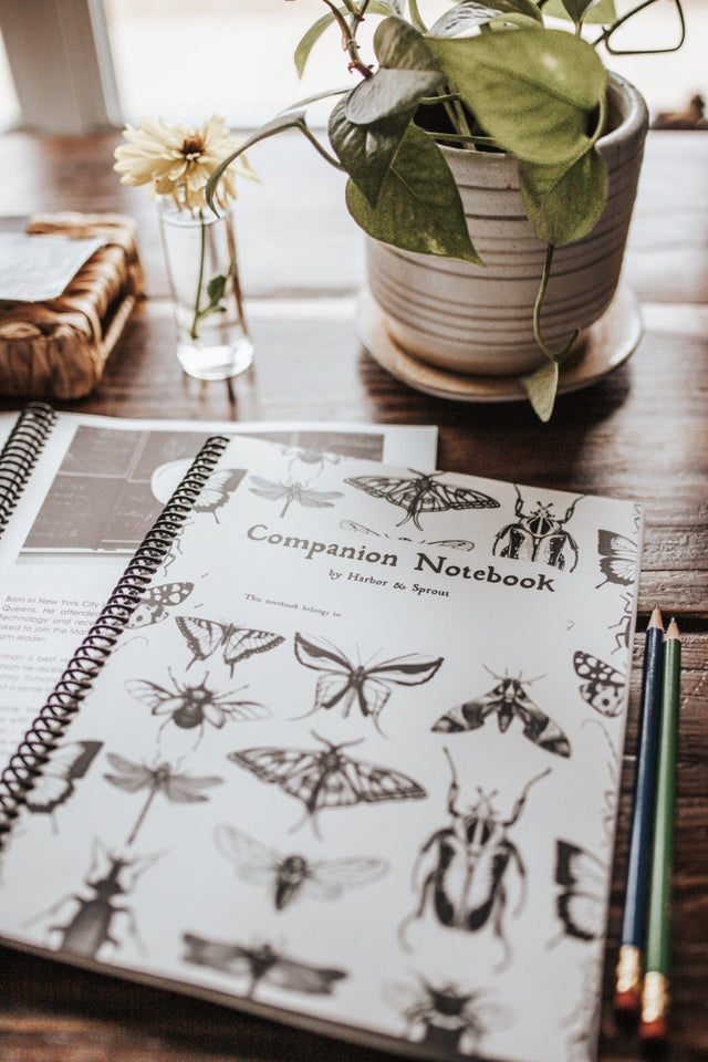 Print Notebooks & Journals – Harbor and Sprout