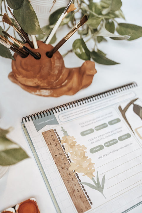 DIGITAL Level Two Mathematics