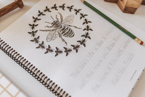 PRINT Beekeeping Primary Level Workbook