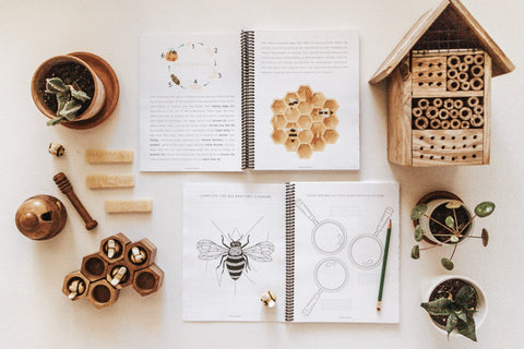 PRINT Beekeeping Primary Level Workbook