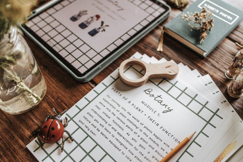 FREE SAMPLE: Botany Primary Level Unit Study – Harbor and Sprout