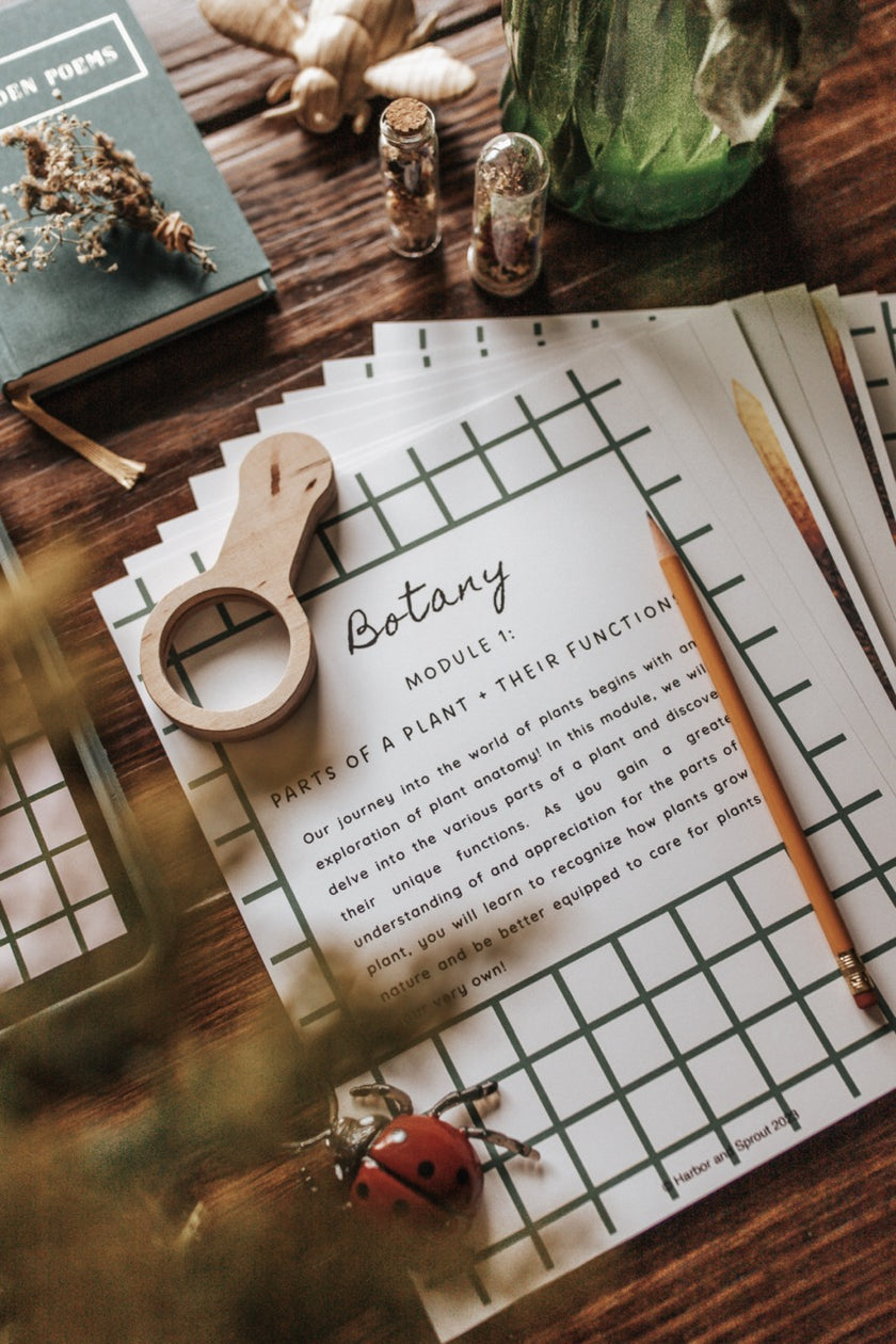 Boteni Primare DIGITAL Botany Primary Level Unit Study – Harbor and Sprout
