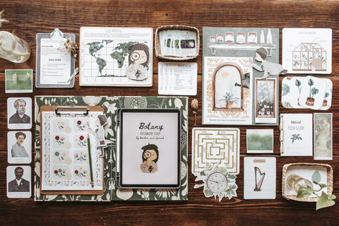 Botany Patchwork Study