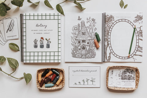 Boteni Primare PRINT Botany Primary Level Workbook – Harbor and Sprout