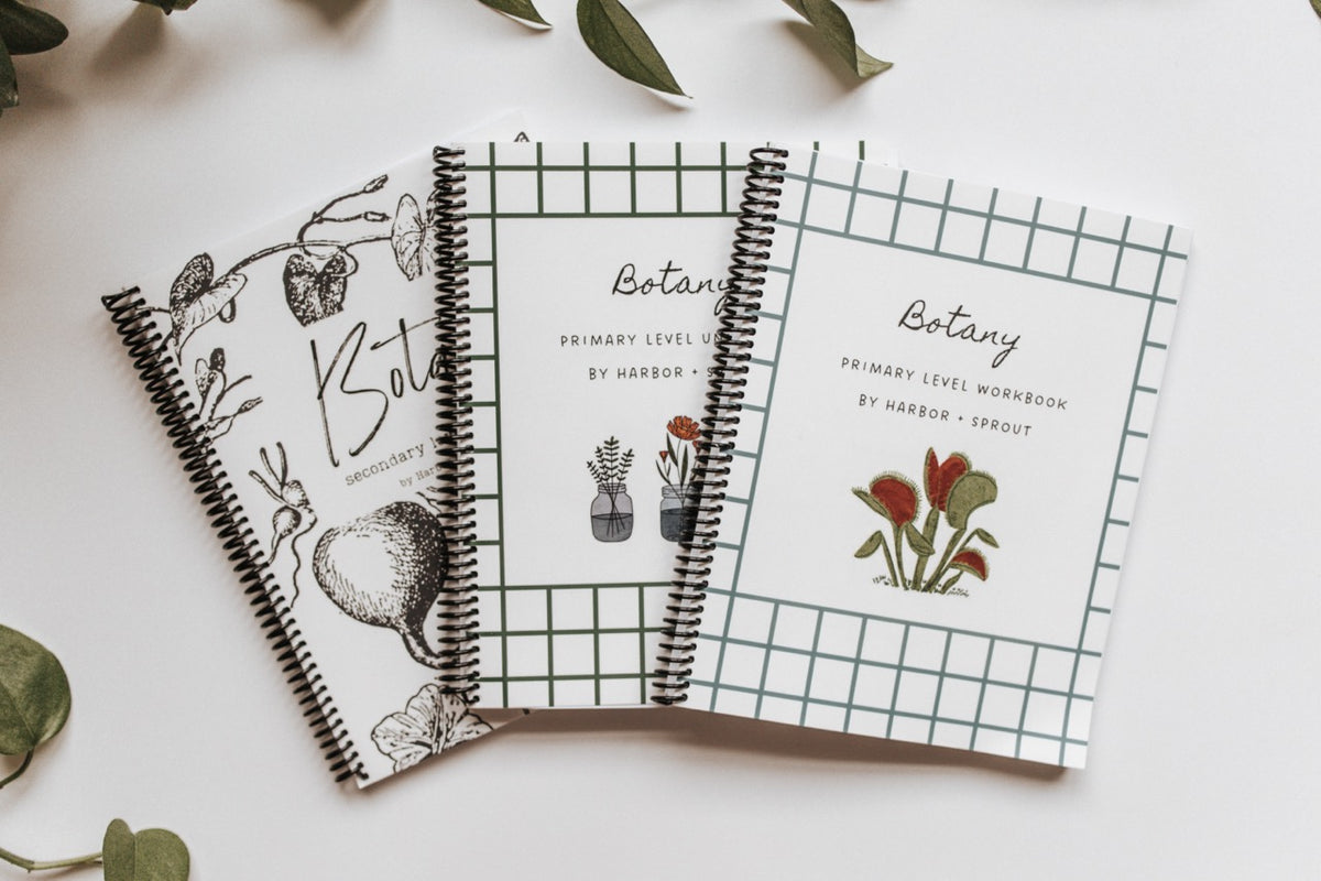 Boteni Primare PRINT Botany Primary Level Workbook – Harbor and Sprout