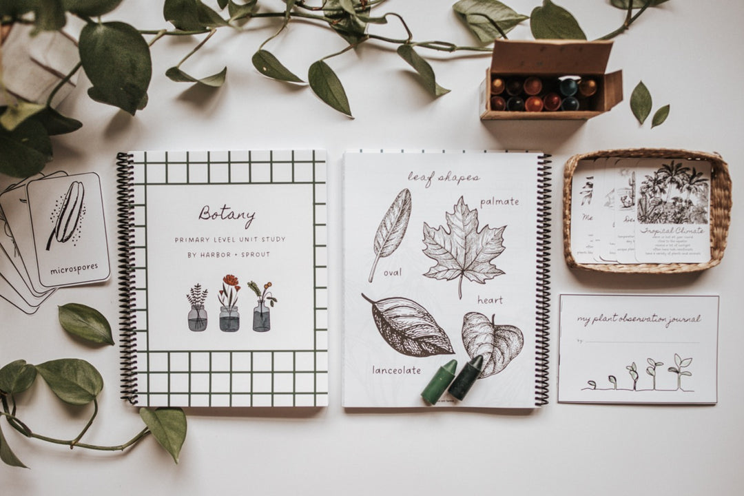 Boteni Primare DIGITAL Botany Primary Level Workbook – Harbor and Sprout