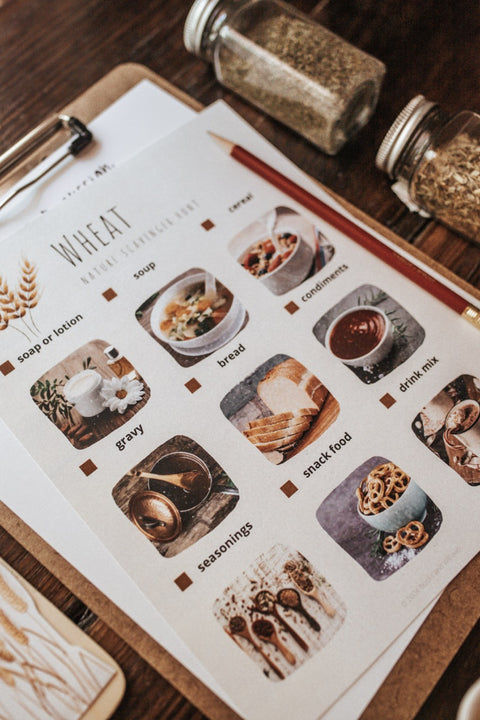 Culinary Arts Patchwork Study