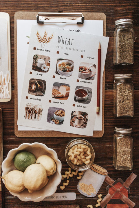 Culinary Arts Patchwork Study