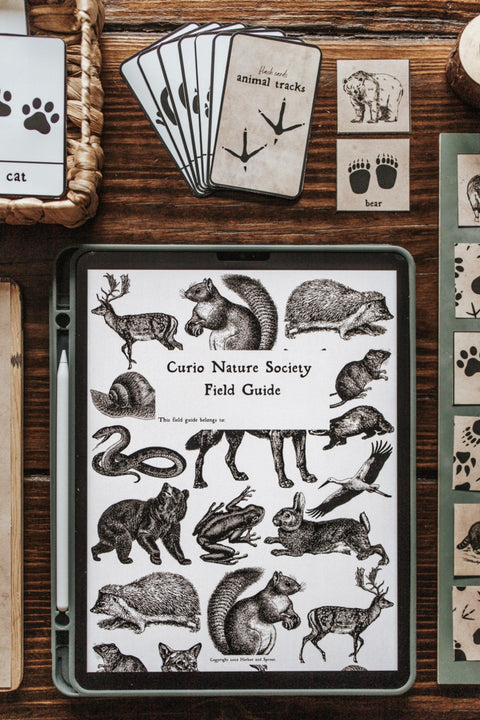 Curio Nature Society Field Guide Issue 12- ANIMALS