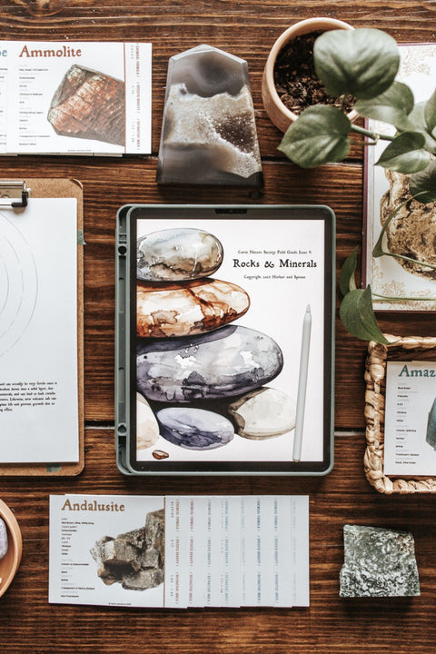 Curio Nature Society Field Guide Issue 9- ROCKS & MINERALS