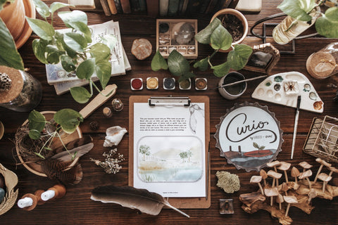 Curio Nature Journaling Curriculum Bundle