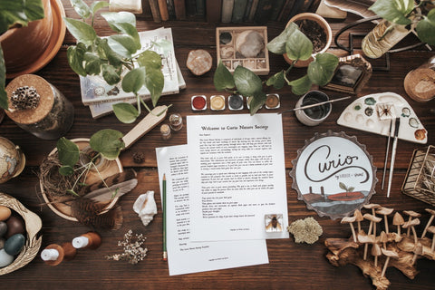 Curio Nature Journaling Curriculum Bundle