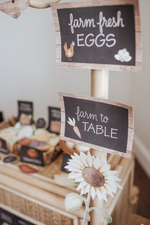 Farmers Market Dramatic Play Set