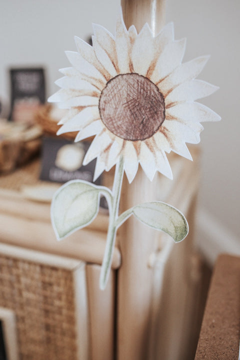 Farmers Market Dramatic Play Set